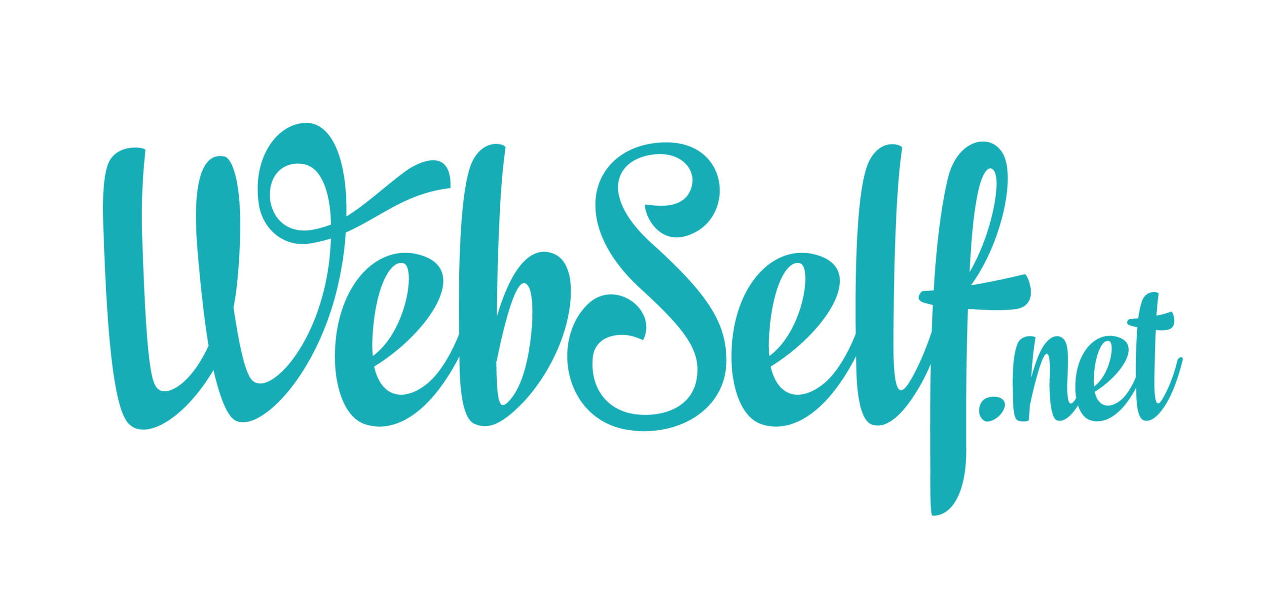 Webself hebergement scaled